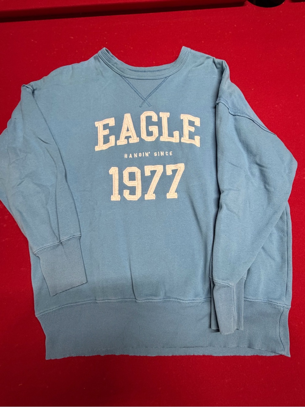 American Eagle Outfitters Light Blue 1977 Crewneck Sweatshirt